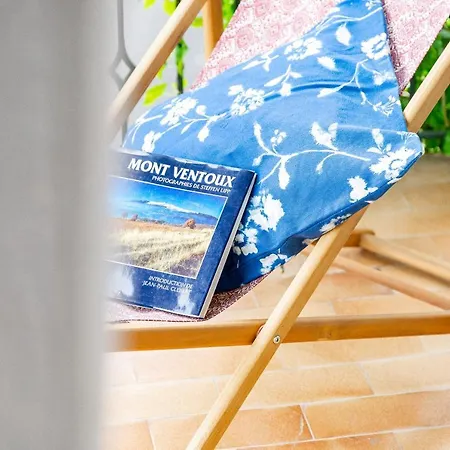 Au Petit Bonheur Holiday home Bedoin